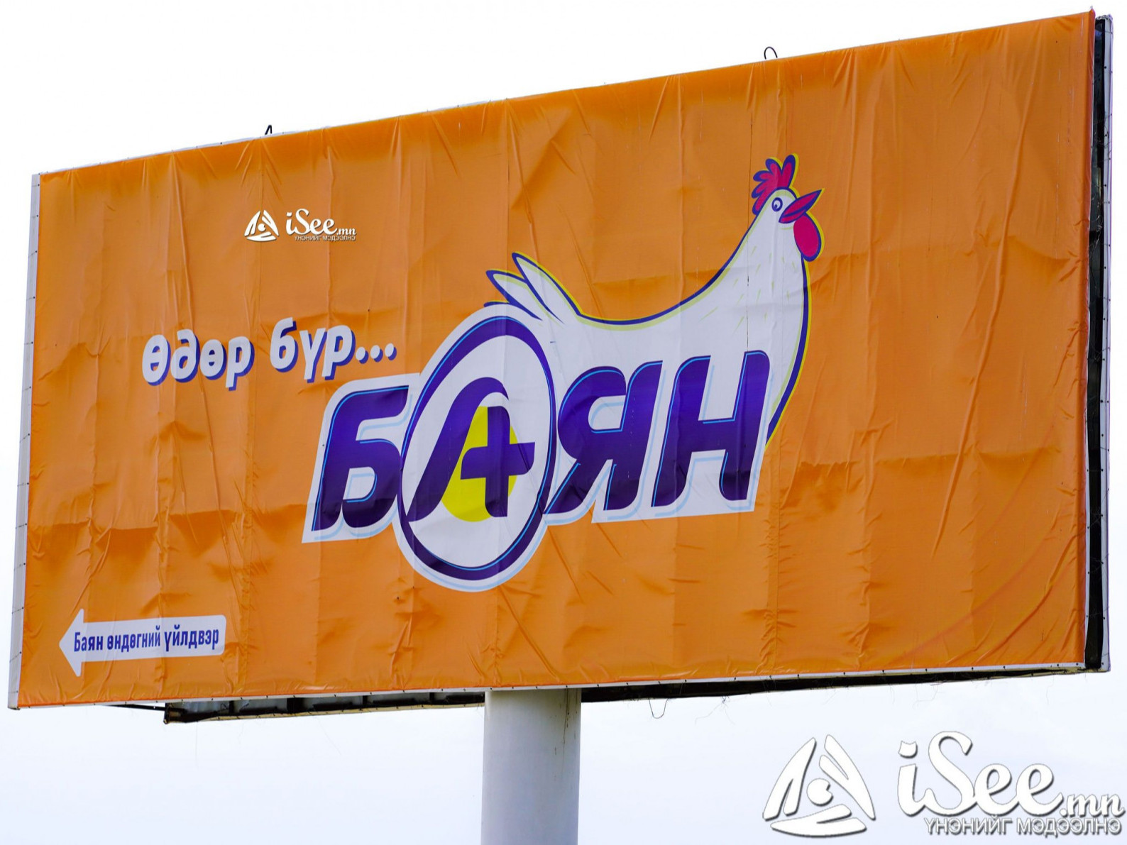 "Баян” өндөгний үйлдвэрийн өндөглөгч тахианы 40 орчим хувь нь галд өртжээ 