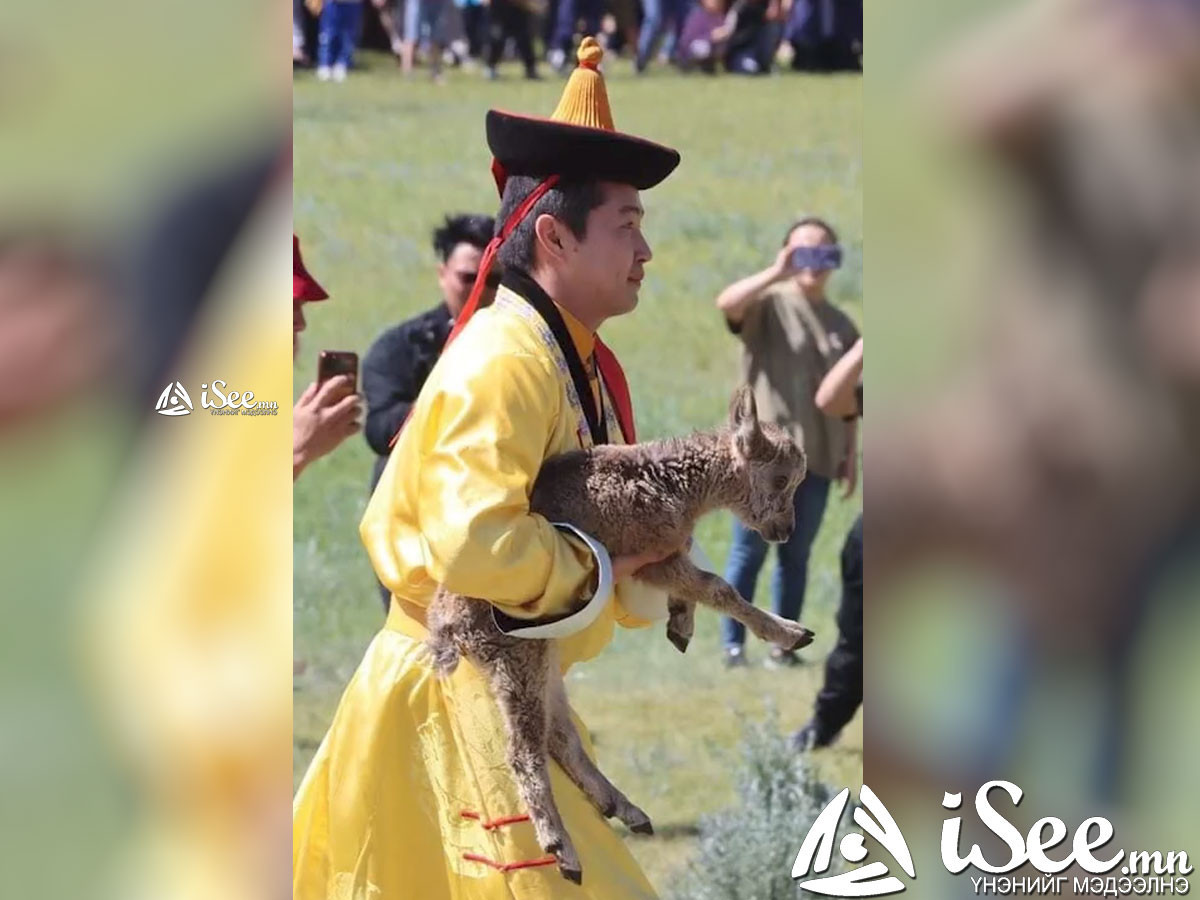 ВИДЕО: Булган ууланд янгир нутагшуулах үйл ажиллагаанд УИХ-ын дарга Г.Занданшатар, Гэгээнтэн Наро Банчэн нар оролцжээ 