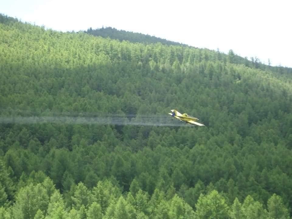 Ойн хөнөөлт шавжтай тэмцэх ажил Архангай аймагт үргэлжилж байна