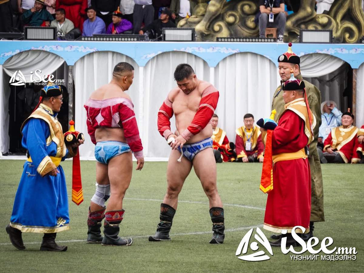 "Зүлэгнээс болж өнгөрсөн жилийн наадмаар 30 орчим бөх халтирч, дөрвөн бөх бэртсэн" гэв
