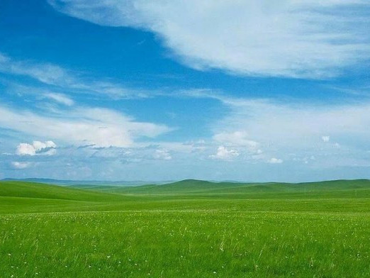 Дорнод Монголын хээрийг Дэлхийн өвд бүртгүүлэхэд ЮНЕСКО-той хамтран ажиллана