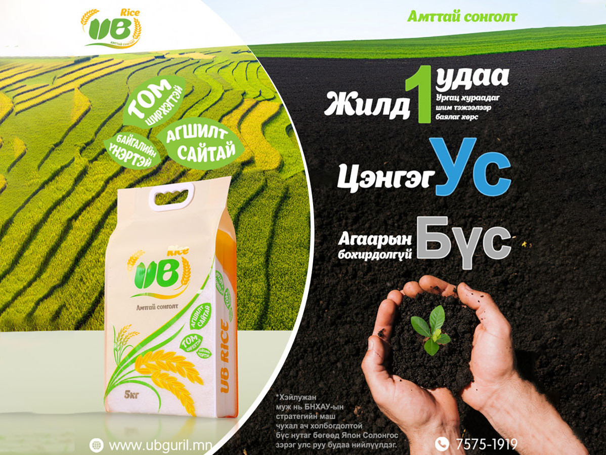 Ямар цагаан будаа хүнсэндээ сонгох вэ?