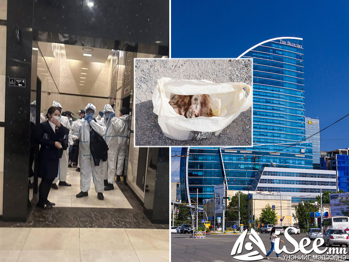 ШУУРХАЙ: "Blue Sky Tower"-т тарвага орхиод явсан иргэн болон ар гэрийнхний шинжилгээний хариу бүгд "Сөрөг" гарчээ 