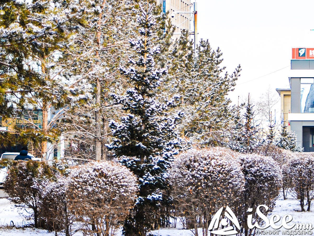 Улаанбаатарт ялимгүй цас орж, 8 градус хүйтэн байна