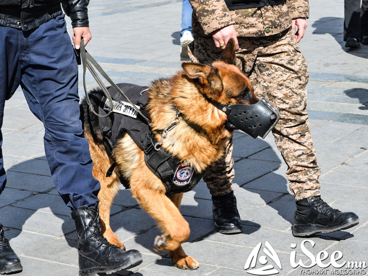Бүлэг этгээд согтуурсан үедээ бусдын биед халдаж, гар утсыг нь дээрэмджээ