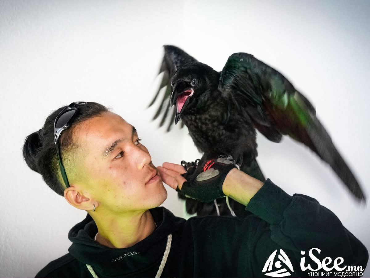 Э.Сүхбаатар: Хүмүүс хэрээг маань хараад “нүдийг чинь тоншино доо” гэдэг ч, манай “Чарлаа” үнэхээр ухаантай амьтан