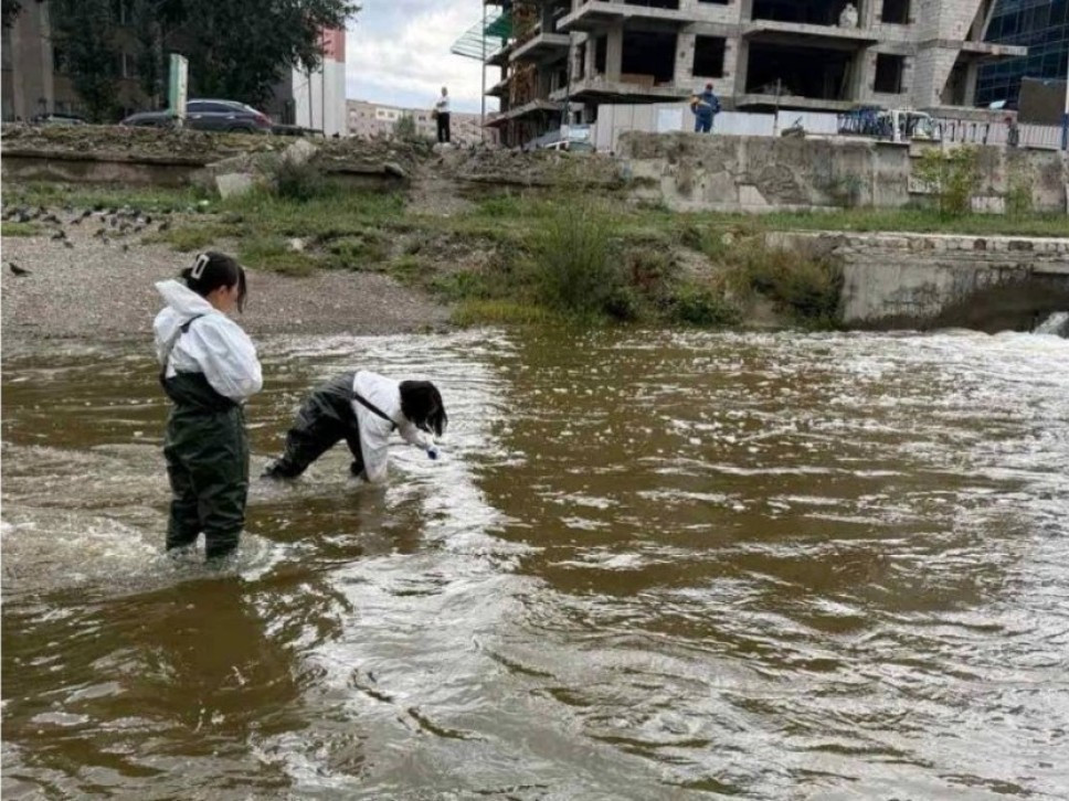 Сэлбэ, Дунд голын ус, голын ойролцоох хөрсний дээжүүдээс ялгадсын гаралтай бохирдол илэрчээ
