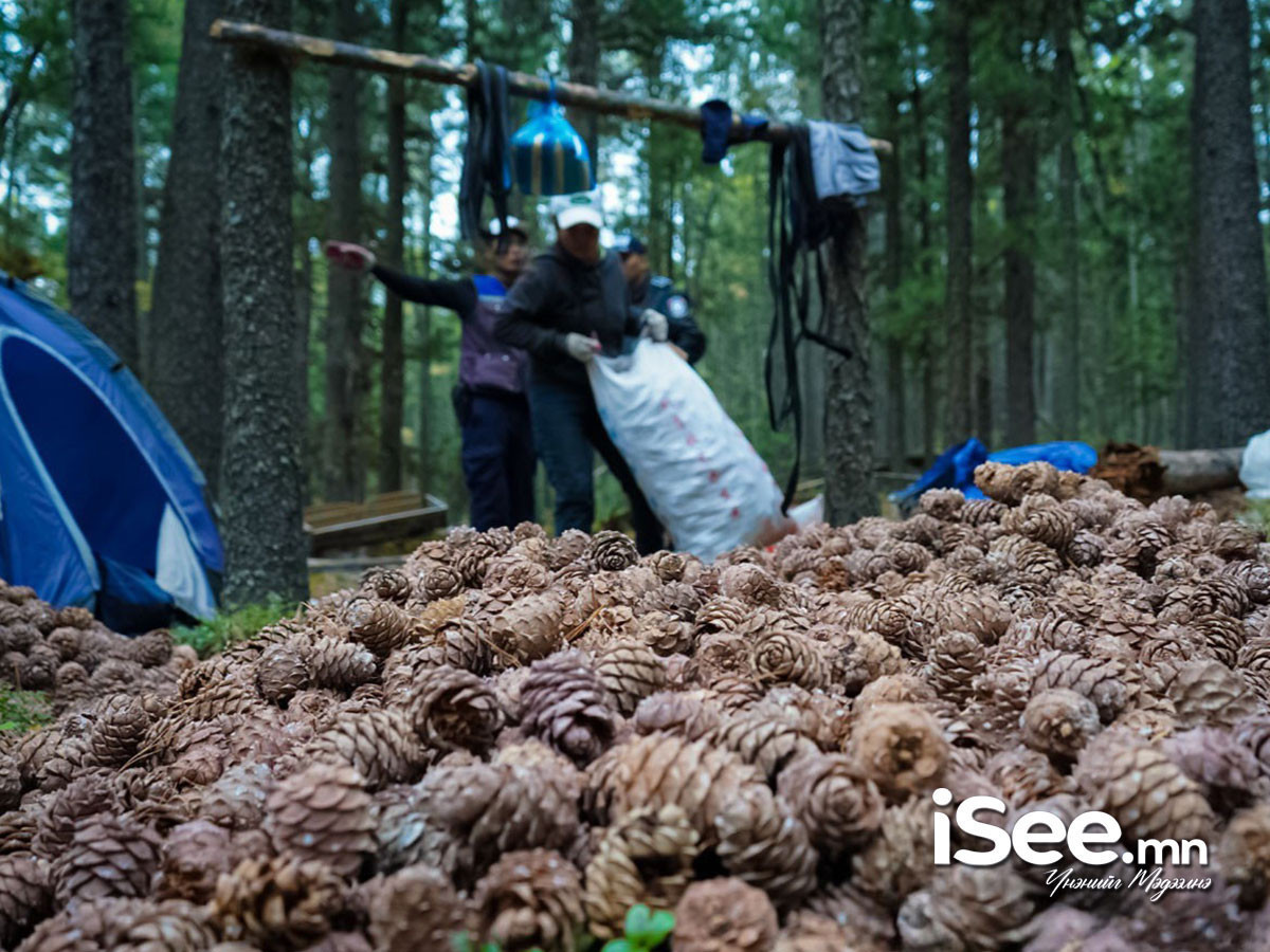 Хөвсгөл аймагт самарт яваад сураггүй болсон эмэгтэйг эрэн хайх ажлыг ар гэрийнхнийх нь хүсэлтээр зогсоожээ  