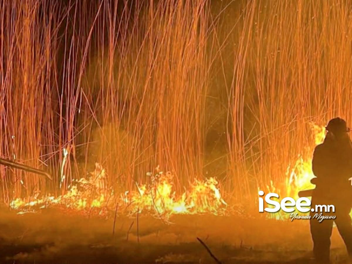 Дорнод, Хэнтий аймагт бүртгэгдсэн хээрийн 3 түймрийг бүрэн унтраалаа