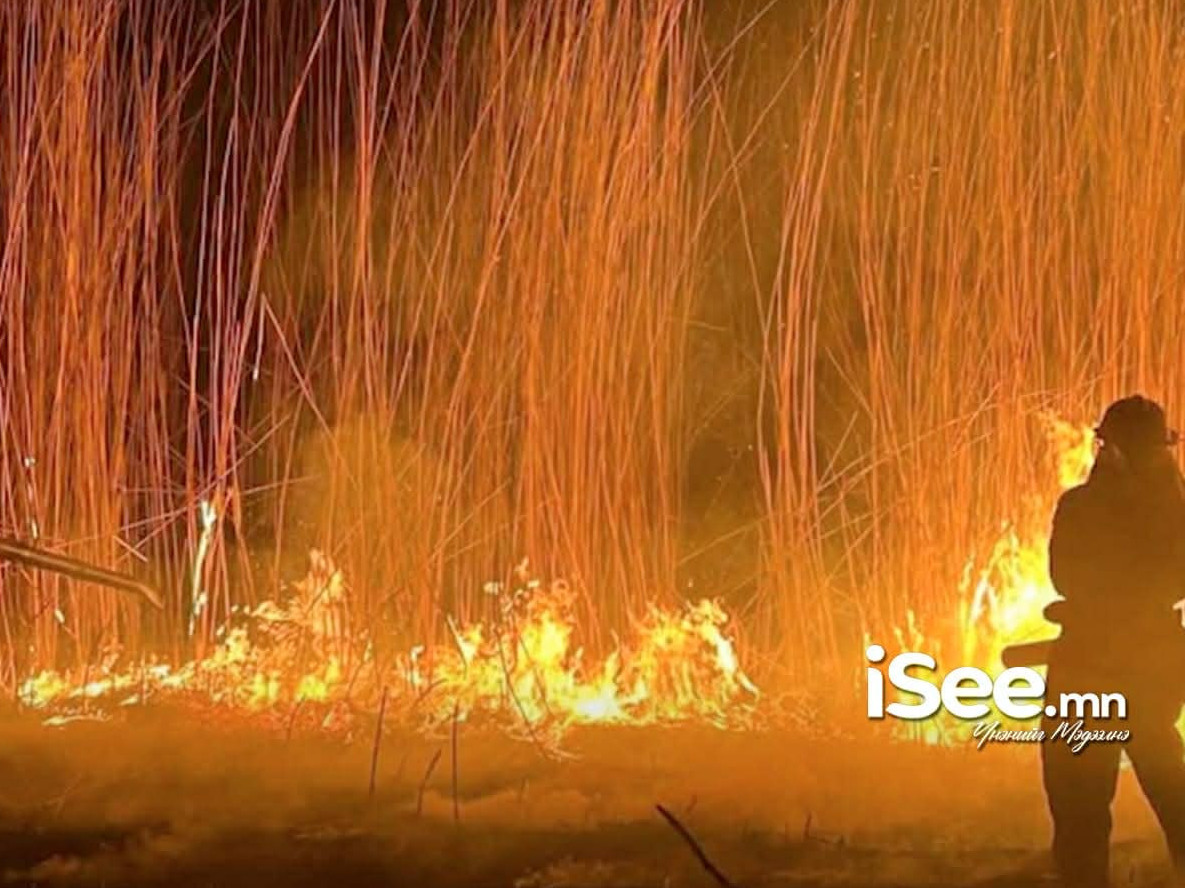 Ой, хээрийн гурван түймрийг бүрэн унтрааж, дөрвөн түймрийг цурамд орууллаа