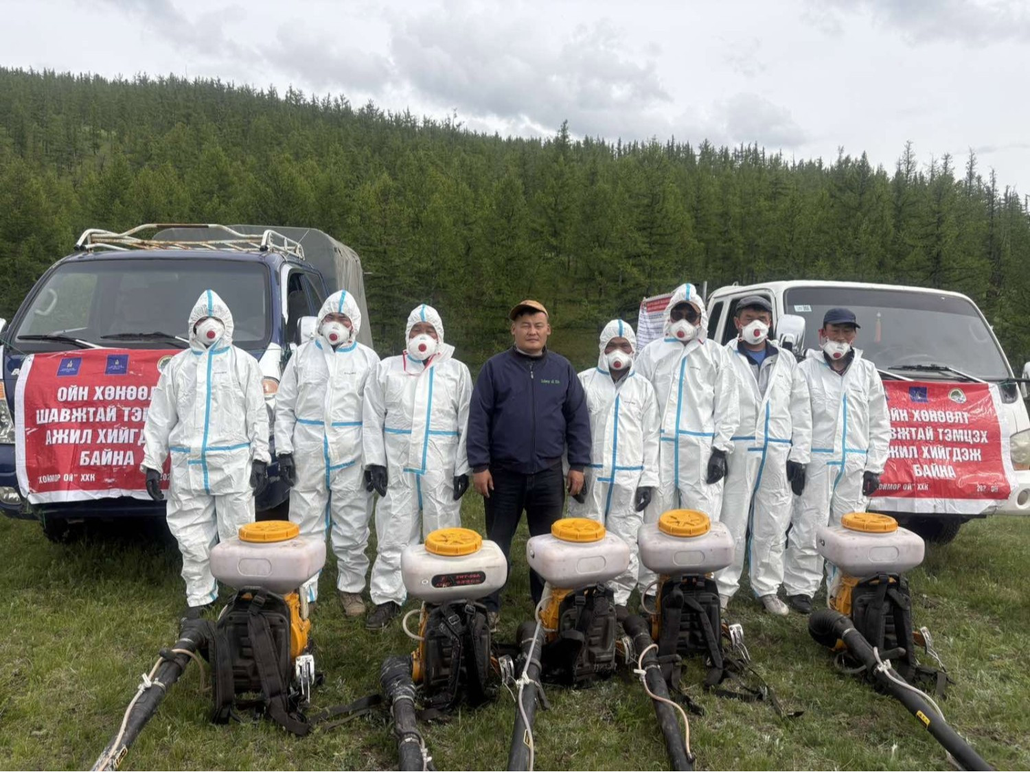 Хөвсгөл аймгийн Түнэл суманд ойн хөнөөлт шавжтай тэмцэх ажил үргэлжилж байна