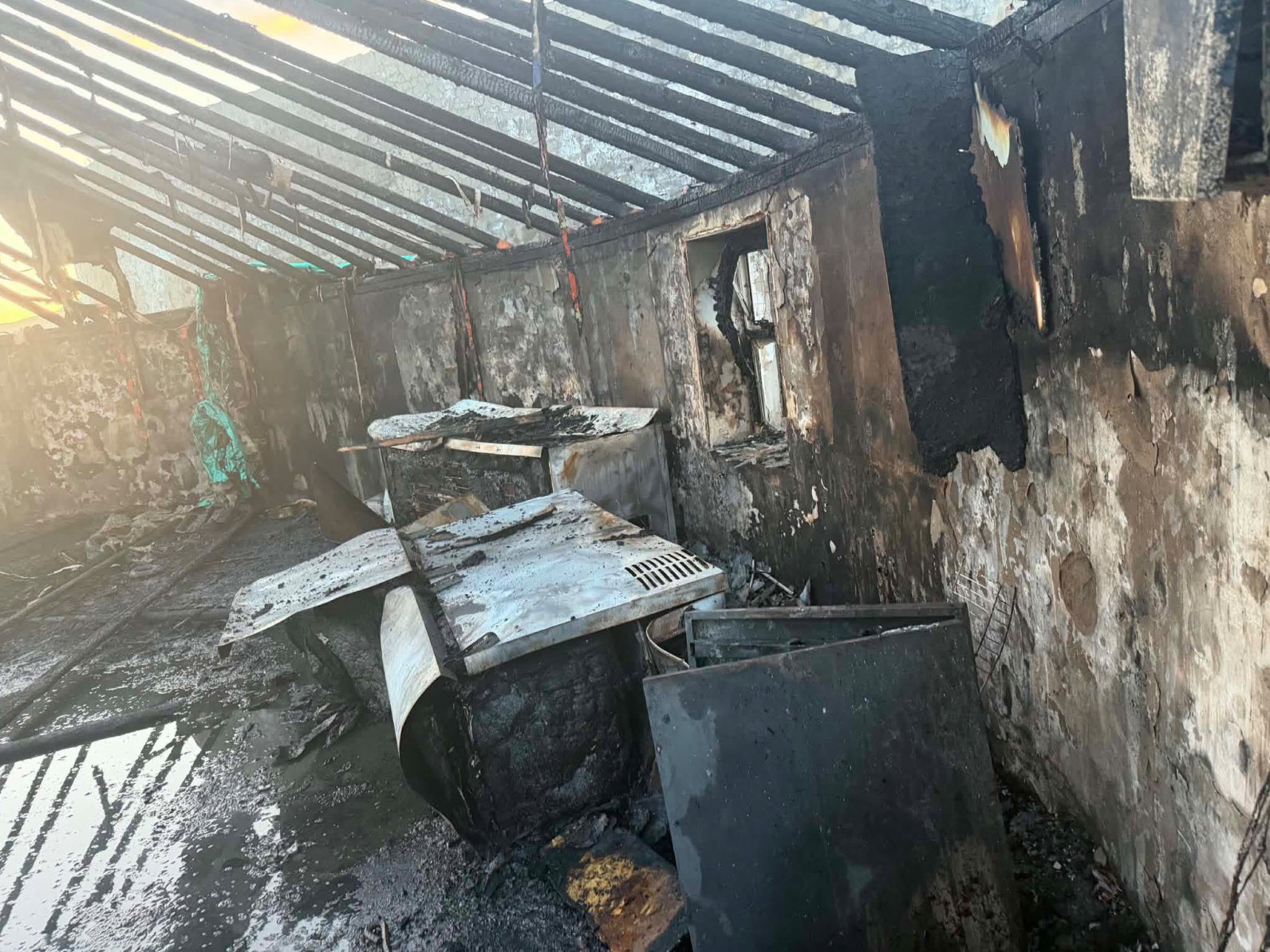 ФОТО: “Хөөрхөн Зулзага” асрамжийн газарт гал гарч, олон нохой, муурын байр эд хогшлын хамт шатжээ