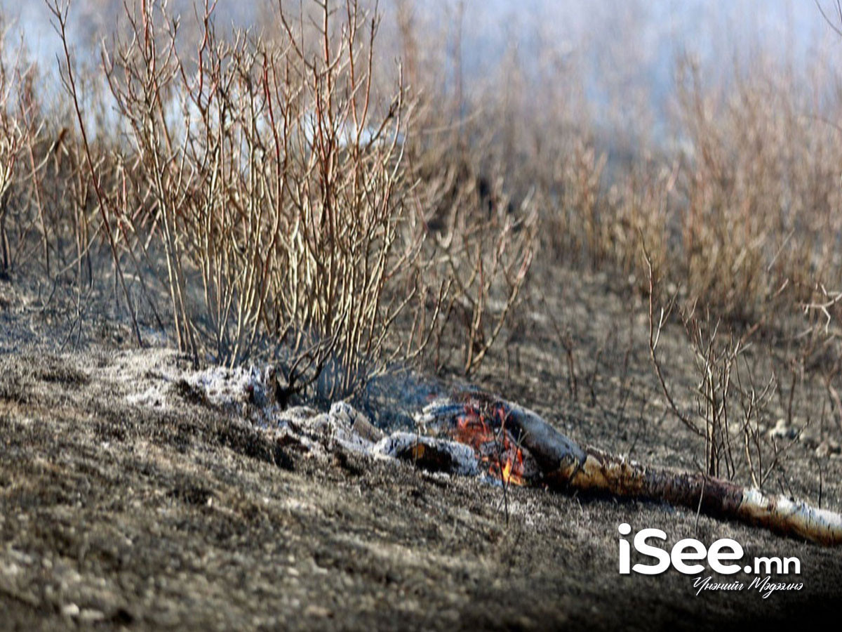 Ой хээрийн түймрийн улмаас 6.5 тэрбумын хохирол учирчээ