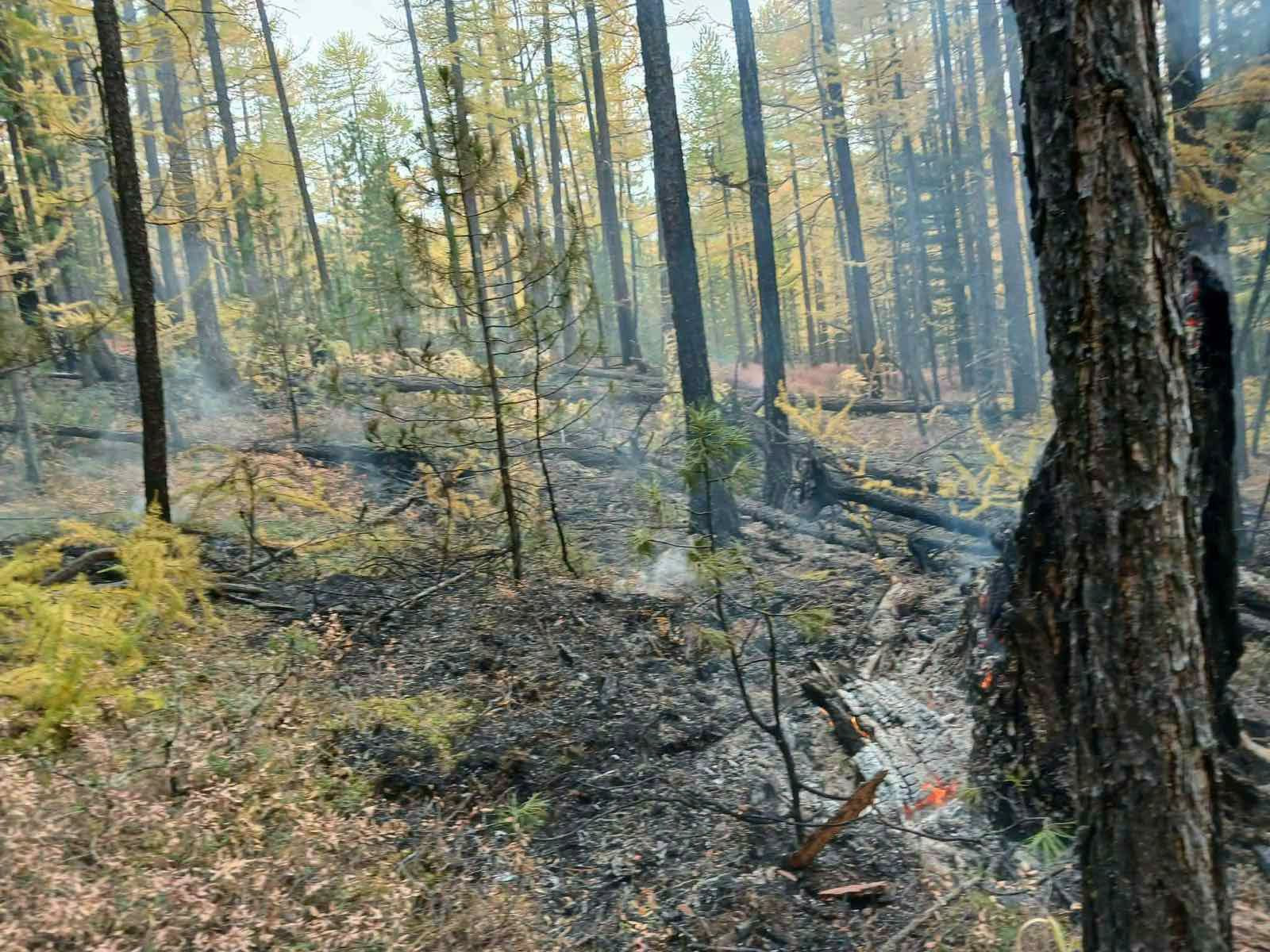 Завханд гарсан ой хээрийн түймэрт 1.4 га талбай шатжээ