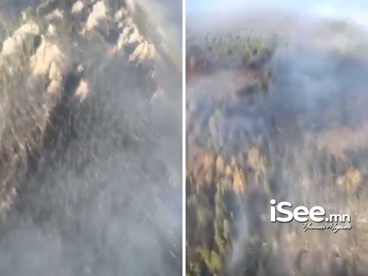  ВИДЕО: ОХУ-ын нутагт гарсан ойн түймэр Хөвсгөл аймгийн Улаан-Уул сумд хил давж орж иржээ