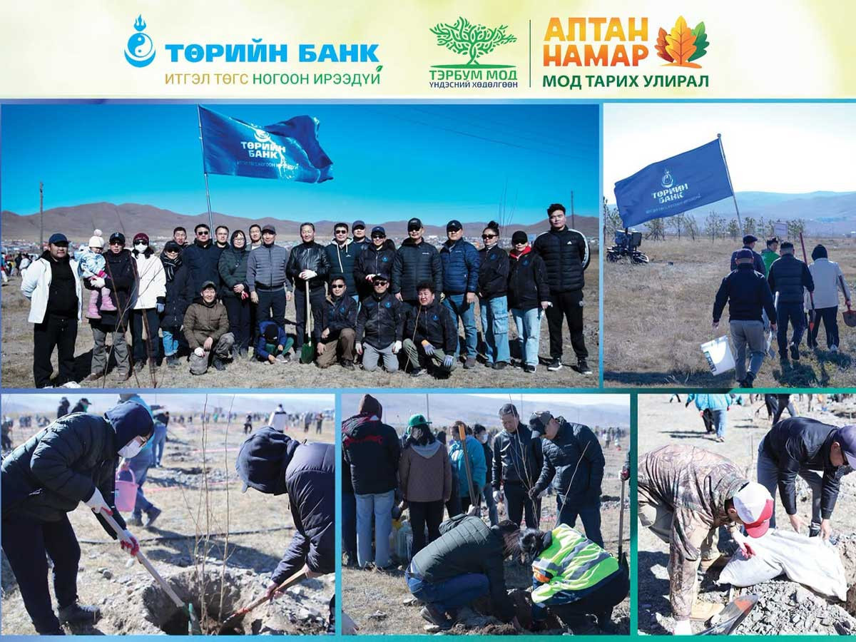 Төрийн банк: “Модыг мод(а) болгоё – Амжилтаа бататгая, ажилтан бүр нэг мод” аяны хүрээнд намрын мод тарилтаа хийлээ