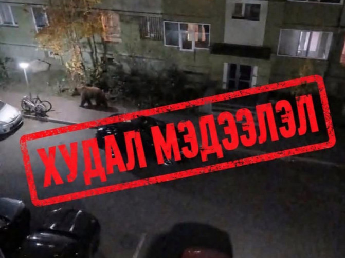 AI ашиглан баавгайн хуурамч зураг бүтээж, цахим орчинд нийтэлсэн иргэнд хариуцлага тооцжээ
