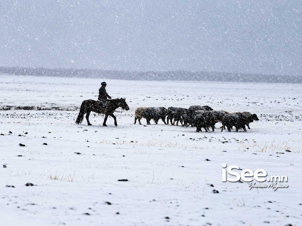 СЭРЭМЖЛҮҮЛЭГ: Увс, Завхан, Хөвсгөл аймагт сураггүй болсон гурван иргэнийг эрэн хайж байна