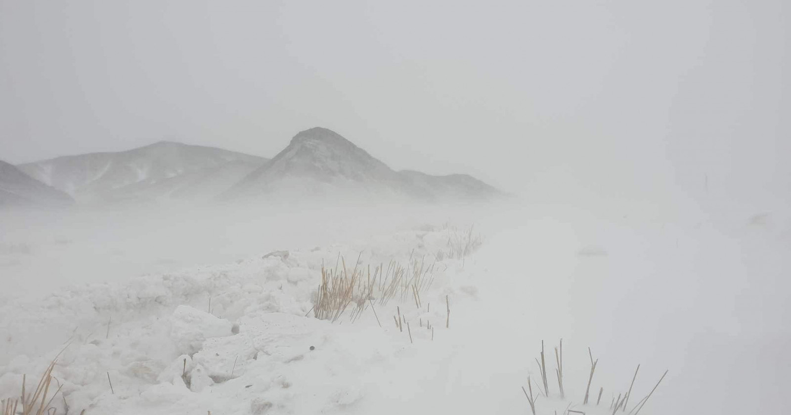9:00 цагийн байдлаар 7 аймагт цас орж, цасан шуурга шуурч байгаа бол 6 аймагт шороон шуургатай байна